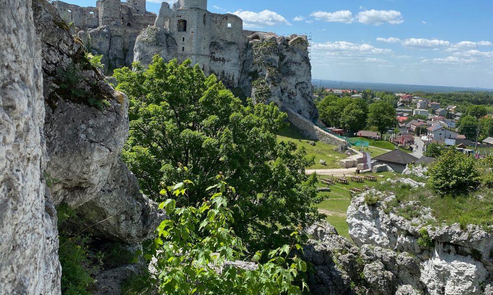 Zamek ogrodzieniec