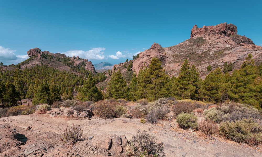 Roque Nublo