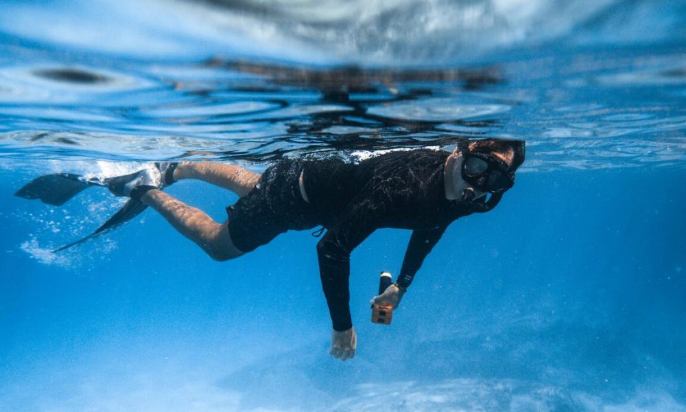 Nurek w wodzie